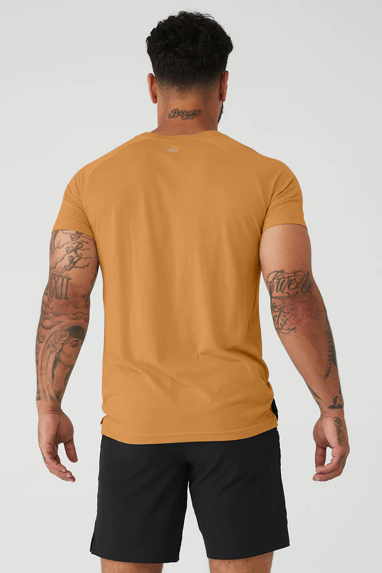 THE TRIUMPH CREW NECK TEE back THE TRIUMPH CREW NECK TEE back